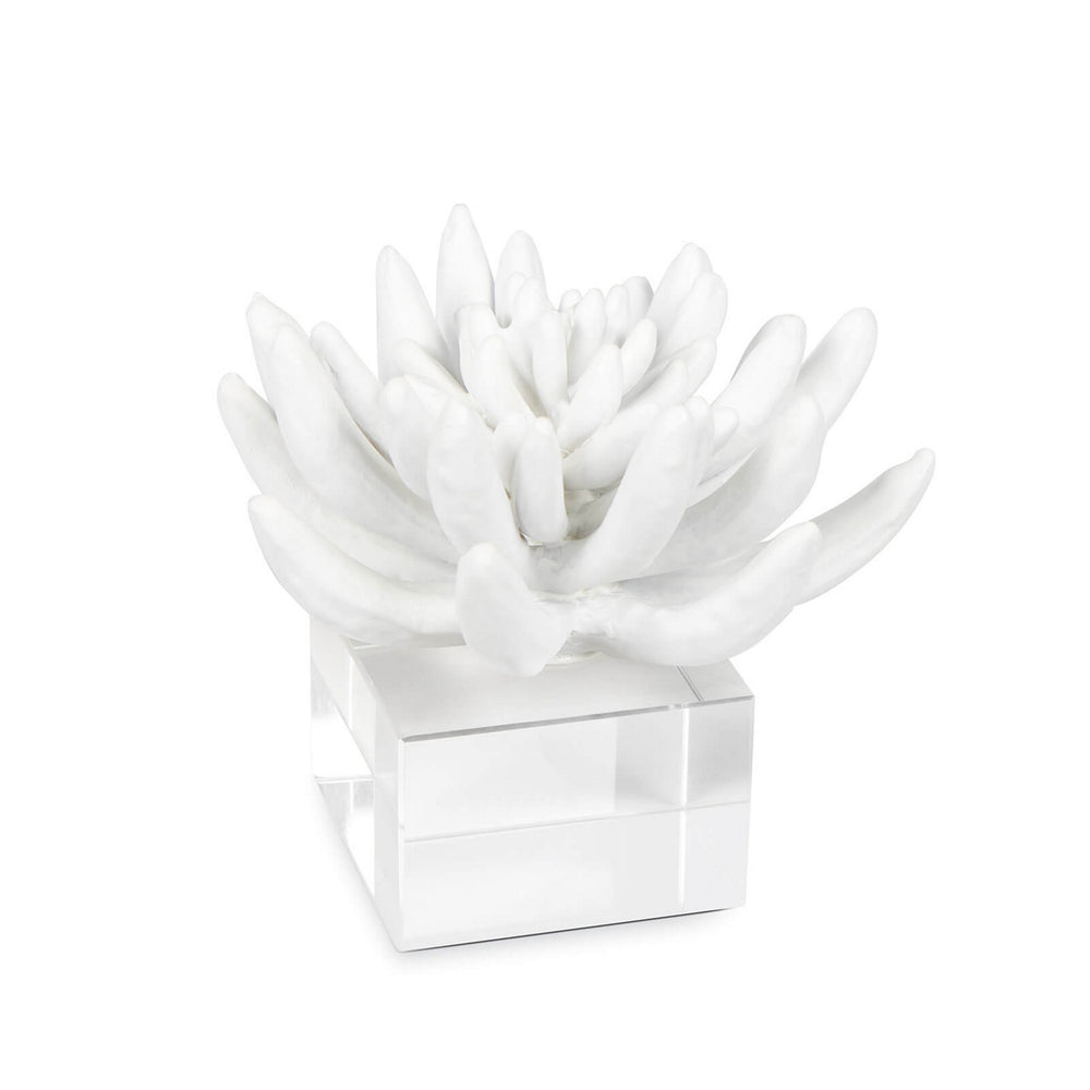 Regina Andrew Canada - Sculpture - Succulent - White- Union Lighting Luminaires Decor