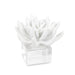 Regina Andrew Canada - Sculpture - Succulent - White- Union Lighting Luminaires Decor