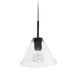 Dainolite Canada - One Light Pendant - Roswell - Black- Union Lighting Luminaires Decor