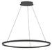 Dainolite Canada - LED Chandelier - Circulo - Black- Union Lighting Luminaires Decor