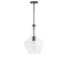 Dainolite Canada - One Light Pendant - Petalite - Clear- Union Lighting Luminaires Decor