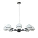 Dainolite Canada - Eight Light Chandelier - Sofia - Black- Union Lighting Luminaires Decor