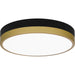 Quoizel - LED Flush Mount - Weldin - Matte Black Gold- Union Lighting Luminaires Decor
