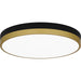 Quoizel - LED Flush Mount - Weldin - Matte Black Gold- Union Lighting Luminaires Decor