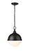 Z-Lite Canada - Two Light Pendant - Peyton - Matte Black- Union Lighting Luminaires Decor