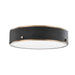 Troy Lighting Canada - LED Flush Mount - Eli - Patina Brass- Union Lighting Luminaires Decor