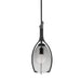 Troy Lighting Canada - One Light Pendant - Pacifica - Forged Iron- Union Lighting Luminaires Decor