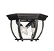 Meridian - Three Light Outdoor Flush Mount - Black- Union Lighting Luminaires Decor