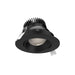 Dals - Gimbal Downlight - Revolve - Black- Union Lighting Luminaires Decor