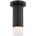 Visual Comfort Signature Canada - LED Flush Mount - Ace - Bronze- Union Lighting Luminaires Decor