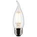 Satco Canada - Light Bulb - Clear- Union Lighting Luminaires Decor