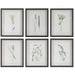 Uttermost - Framed Prints, S/6 - Forest Finds - Dark Espresso- Union Lighting Luminaires Decor