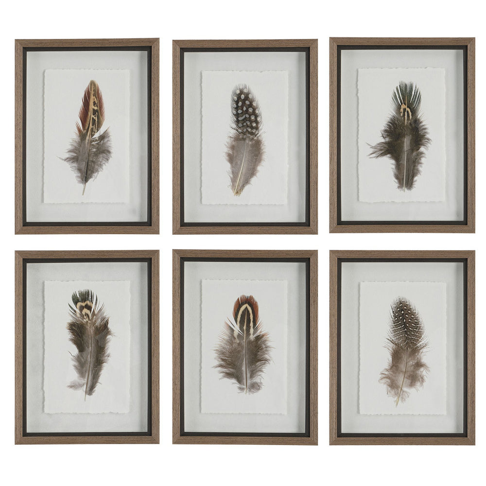 Uttermost - Framed Prints, S/6 - Birds Of A Feather - Natural Wood Tone- Union Lighting Luminaires Decor