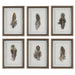 Uttermost - Framed Prints, S/6 - Birds Of A Feather - Natural Wood Tone- Union Lighting Luminaires Decor