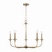 Capital Lighting - Five Light Chandelier - Presley - Aged Brass- Union Lighting Luminaires Decor