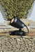 Kichler Canada - One Light Underwater - Black Material (Not Painted)- Union Lighting Luminaires Decor