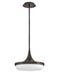 Fredrick Ramond Canada - LED Convertible Pendant - Elsa - Black Oxide- Union Lighting Luminaires Decor