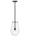 Hinkley Canada - LED Pendant - Beck - Black- Union Lighting Luminaires Decor