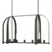 Hubbardton Forge - Nine Light Pendant - Triomphe - Dark Smoke- Union Lighting Luminaires Decor