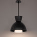 W.A.C. Canada - LED Pendant - Carafe - Black- Union Lighting Luminaires Decor