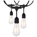 Satco Canada - LED String Light - Black- Union Lighting Luminaires Decor