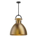 Alora Canada - One Light Pendant - Waldo - Matte Black/Aged Gold- Union Lighting Luminaires Decor