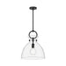 Alora Canada - One Light Pendant - Waldo - Matte Black/Clear Glass- Union Lighting Luminaires Decor