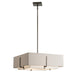 Hubbardton Forge - Four Light Pendant - Exos - Dark Smoke- Union Lighting Luminaires Decor