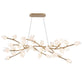 Lib & Co. Canada - LED Chandelier - Belluno - Champagne Gold- Union Lighting Luminaires Decor