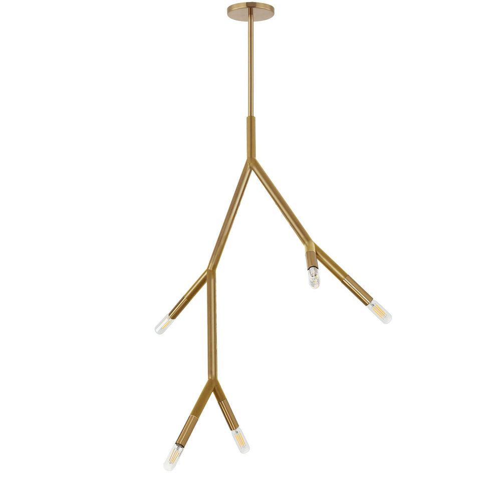 Dainolite Canada - Five Light Pendant - Morgan - Aged Brass- Union Lighting Luminaires Decor