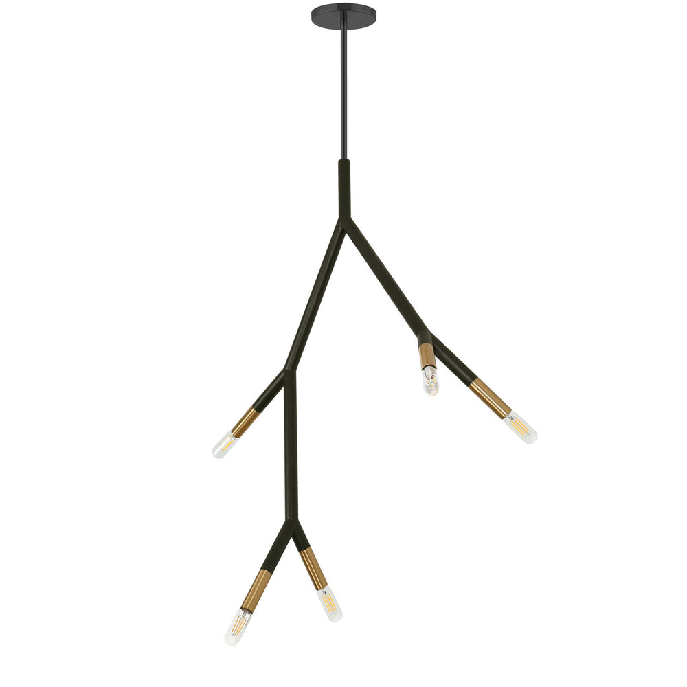 Dainolite Canada - Five Light Pendant - Morgan - Matte Black- Union Lighting Luminaires Decor