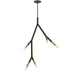 Dainolite Canada - Five Light Pendant - Morgan - Matte Black- Union Lighting Luminaires Decor