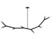 Dainolite Canada - Eight Light Pendant - Morgan - Matte Black- Union Lighting Luminaires Decor
