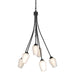 Hubbardton Forge - Six Light Chandelier - Flora - Black- Union Lighting Luminaires Decor