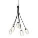 Hubbardton Forge - Six Light Chandelier - Flora - Black- Union Lighting Luminaires Decor