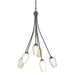 Hubbardton Forge - Six Light Chandelier - Flora - Natural Iron- Union Lighting Luminaires Decor