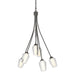 Hubbardton Forge - Six Light Chandelier - Flora - Natural Iron- Union Lighting Luminaires Decor