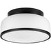 Progress Canada - Two Light Flush Mount - Parkhurst - Matte Black- Union Lighting Luminaires Decor