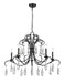 Z-Lite Canada - Five Light Chandelier - Amara - Matte Black- Union Lighting Luminaires Decor