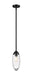 Z-Lite Canada - One Light Pendant - Arden - Matte Black- Union Lighting Luminaires Decor