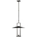 Visual Comfort Signature Canada - LED Lantern - Amity - Bronze and Brass- Union Lighting Luminaires Decor