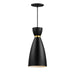 Maxim - One Light Mini Pendant - Carillon - Black / Satin Brass- Union Lighting Luminaires Decor
