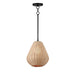 Maxim - LED Pendant - Maldives - Black- Union Lighting Luminaires Decor