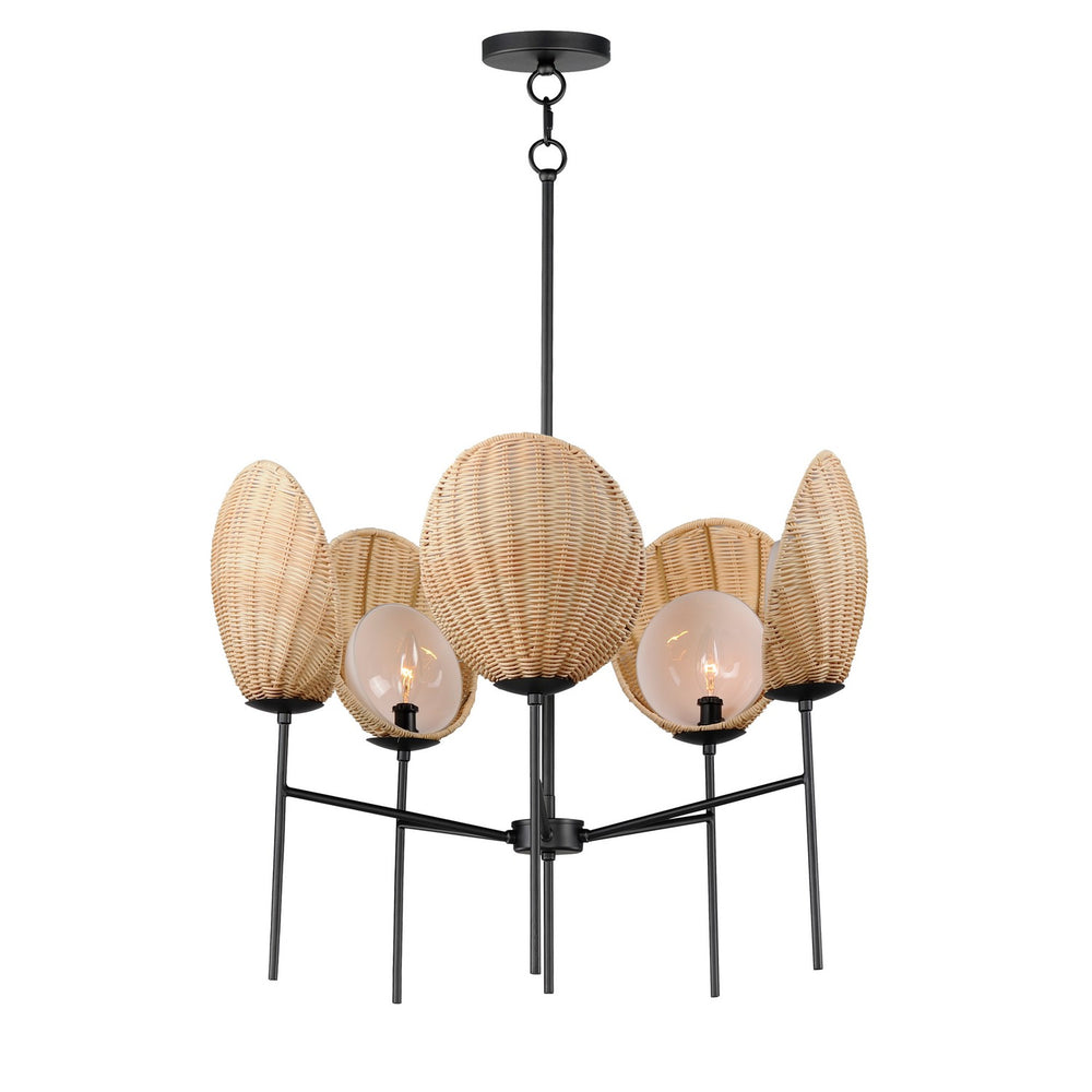 Maxim - Five Light Chandelier - Maldives - Black- Union Lighting Luminaires Decor