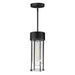 Maxim - One Light Outdoor Pendant - Millennial - Black- Union Lighting Luminaires Decor