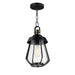 Maxim - One Light Outdoor Pendant - Mariner - Black / Antique Brass- Union Lighting Luminaires Decor