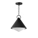 Maxim - One Light Pendant - Odette - Black- Union Lighting Luminaires Decor