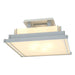 Hubbardton Forge - Four Light Semi-Flush Mount - Steppe - Vintage Platinum- Union Lighting Luminaires Decor