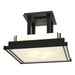Hubbardton Forge - Four Light Semi-Flush Mount - Steppe - Black- Union Lighting Luminaires Decor