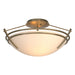 Hubbardton Forge - Two Light Semi-Flush Mount - Tryne - Soft Gold- Union Lighting Luminaires Decor